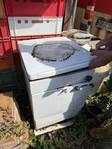 Wittigsthal kohleherd holzherd - wittigsthal,